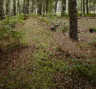  Ancient Earthworks at St Catherine's Hill 