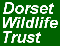  Dorset Wildlife Trust's Logo 