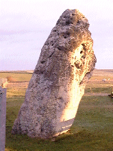  The heelstone against the boundary fence 